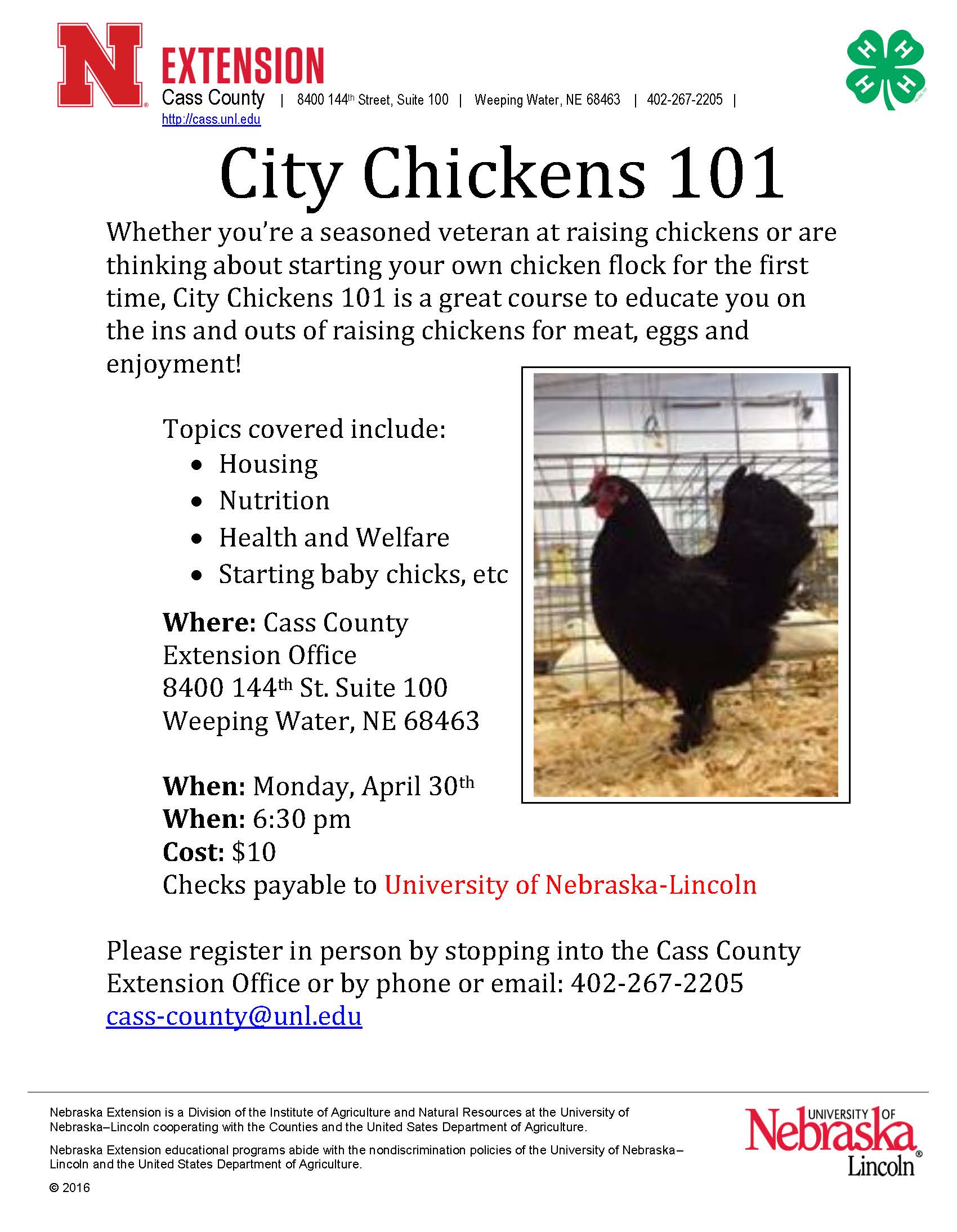 City Chickens 101 Class Flier4654