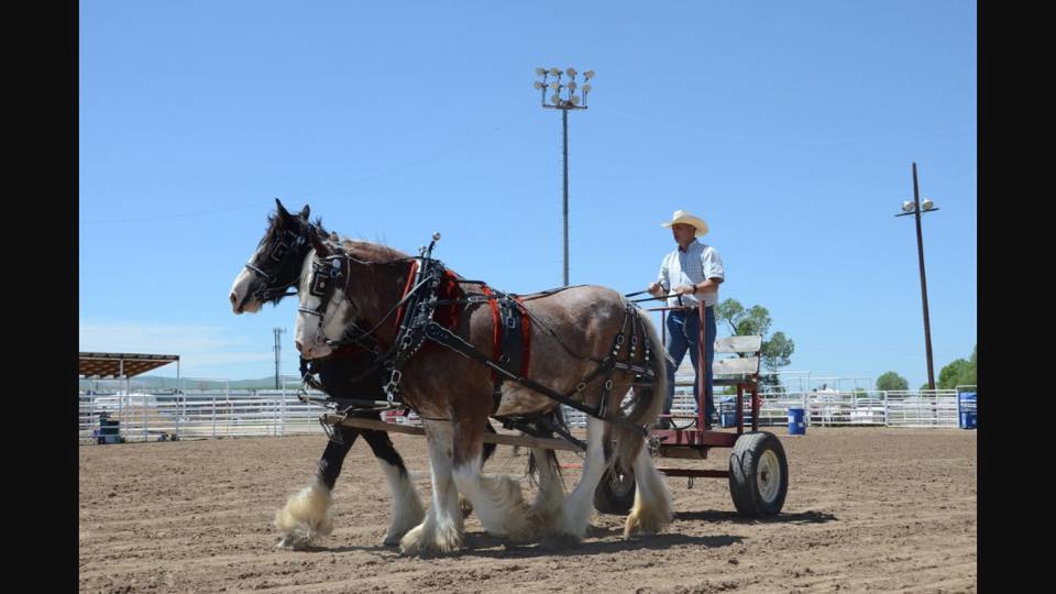 drafthorses.casscountyfair